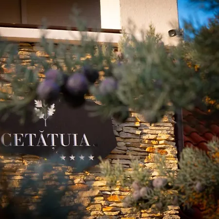 Cetatuia